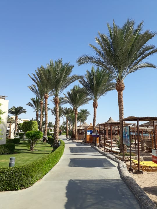 Gartenanlage Jaz Makadi Oasis Resort