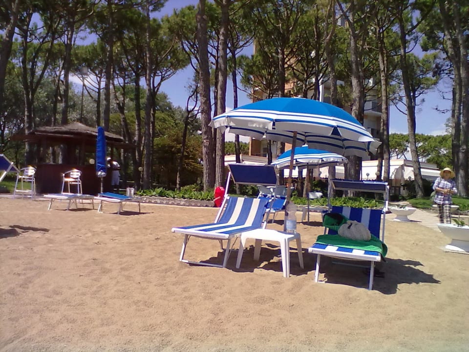 Spiaggia hotel Hotel Beau Rivage Pineta