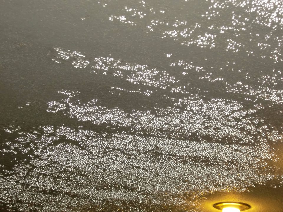 Bild Seehotel Waltershof im Malerwinkel