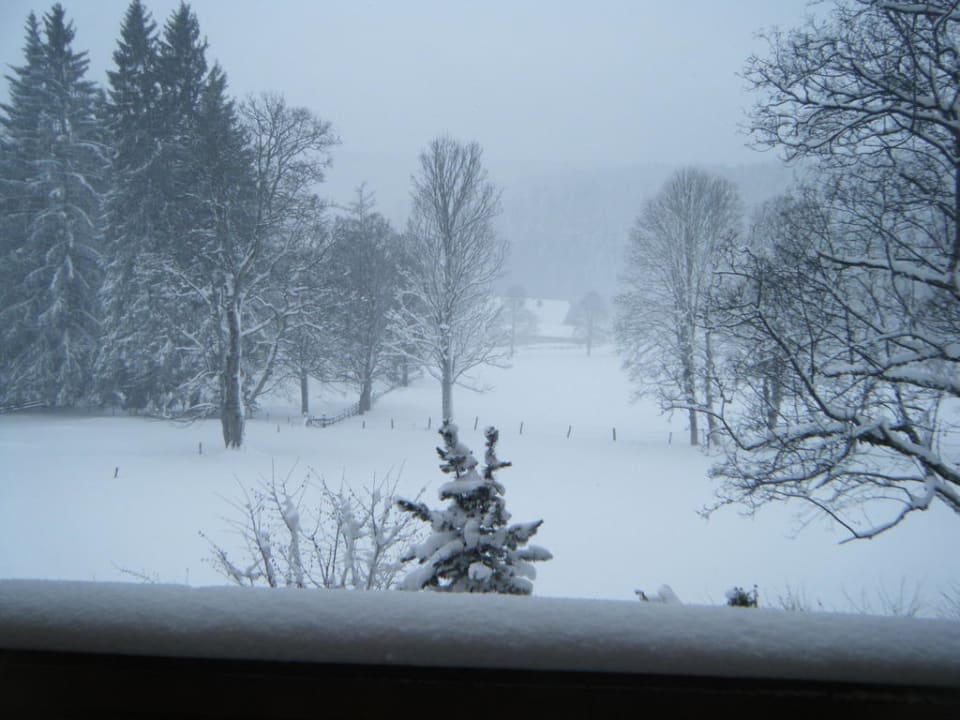 Blick Richtung Loipe Hotel Rösslhof