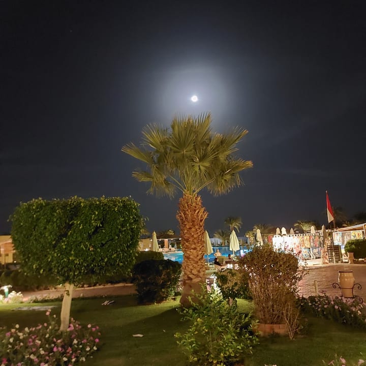 Gartenanlage Three Corners Fayrouz Plaza Beach Resort