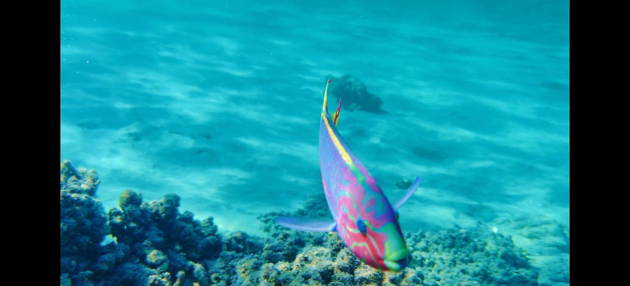 Sport & Freizeit Baron Palace Sahl Hasheesh