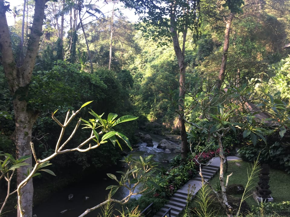 Gartenanlage Maya Ubud Resort & Spa Bali