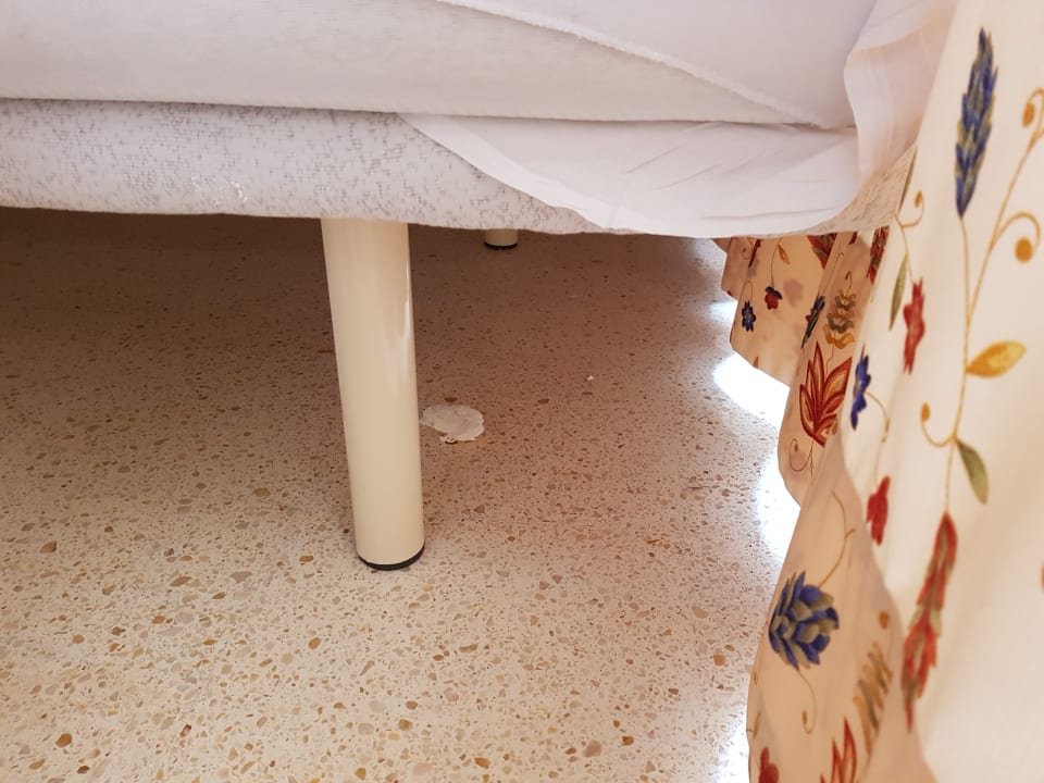 Die Ortsveränderung des Tachentuchs meines Vorgängers über d Cabot Playa Grande - Adults Only