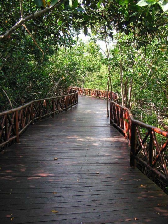 Maya Iberostar Selection Paraiso Maya Suites