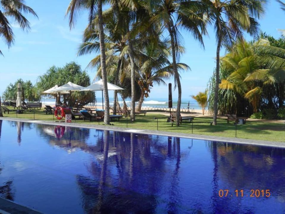 Blick auf Pool und Strand EKHO Surf