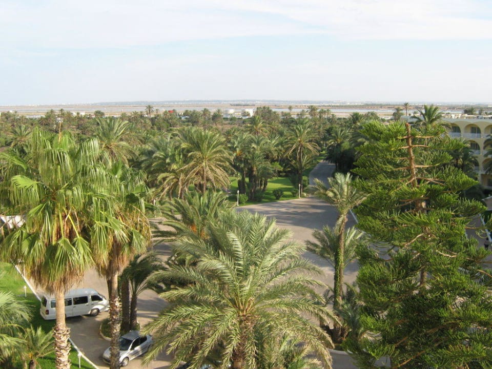 Blick vom Zimmer Calimera One Resort Jockey
