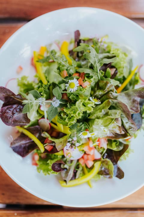 Turmvilla Salat Turmvilla Bad Muskau