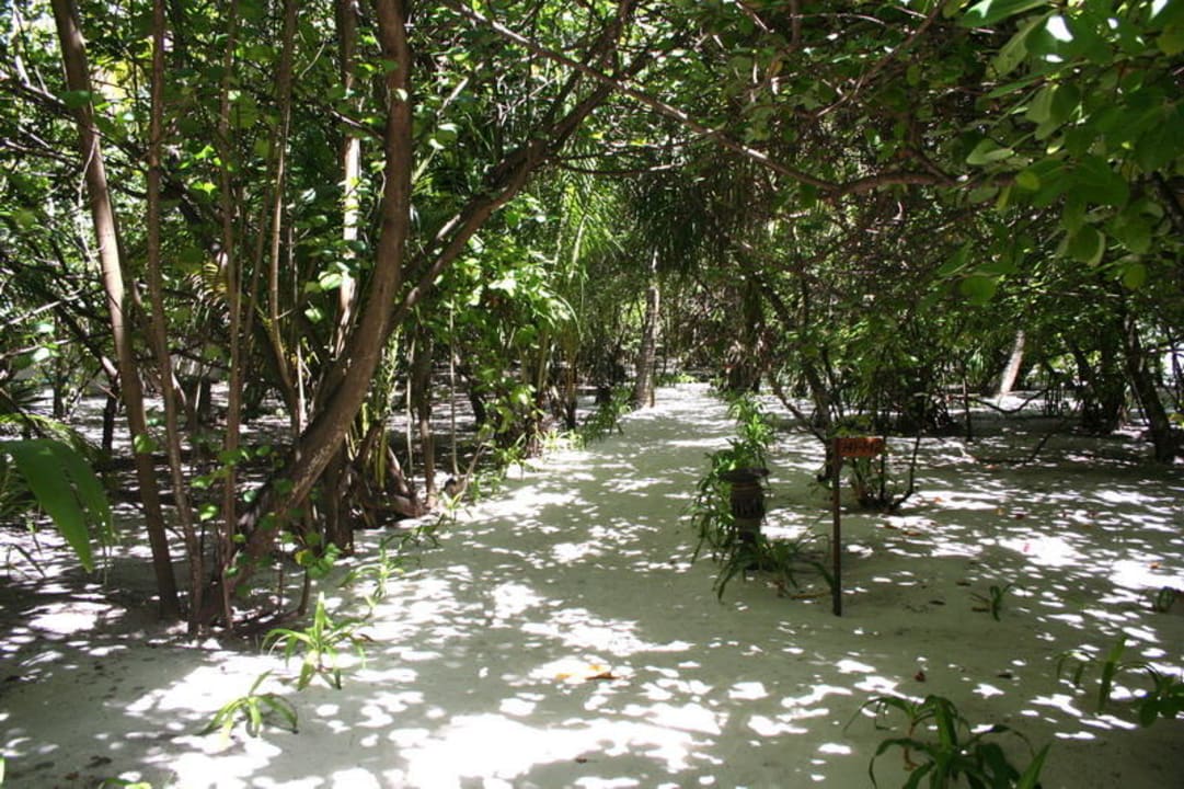 Inselweg Reethi Beach Resort