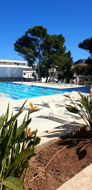 Pool Hotel Bella Playa & Spa