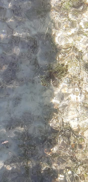 Strand Casa Mare Resort