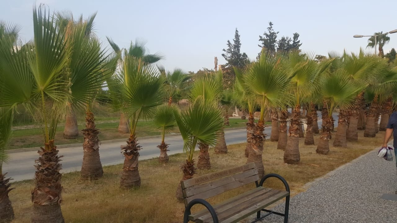 Sonstiges Bella Resort & Spa