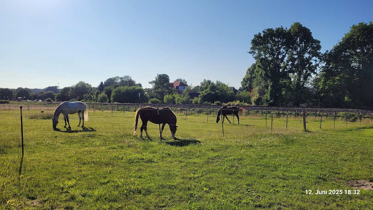Ausblick Buchenhof-Nordheide in der Lüneburger Heide