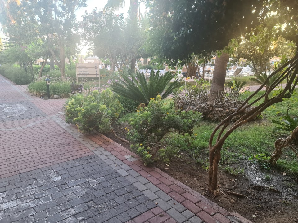 Gartenanlage Seaden Sea World Resort & Spa