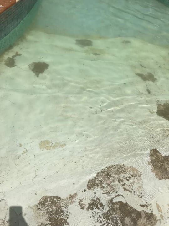 Pool Tropitel Sahl Hasheesh