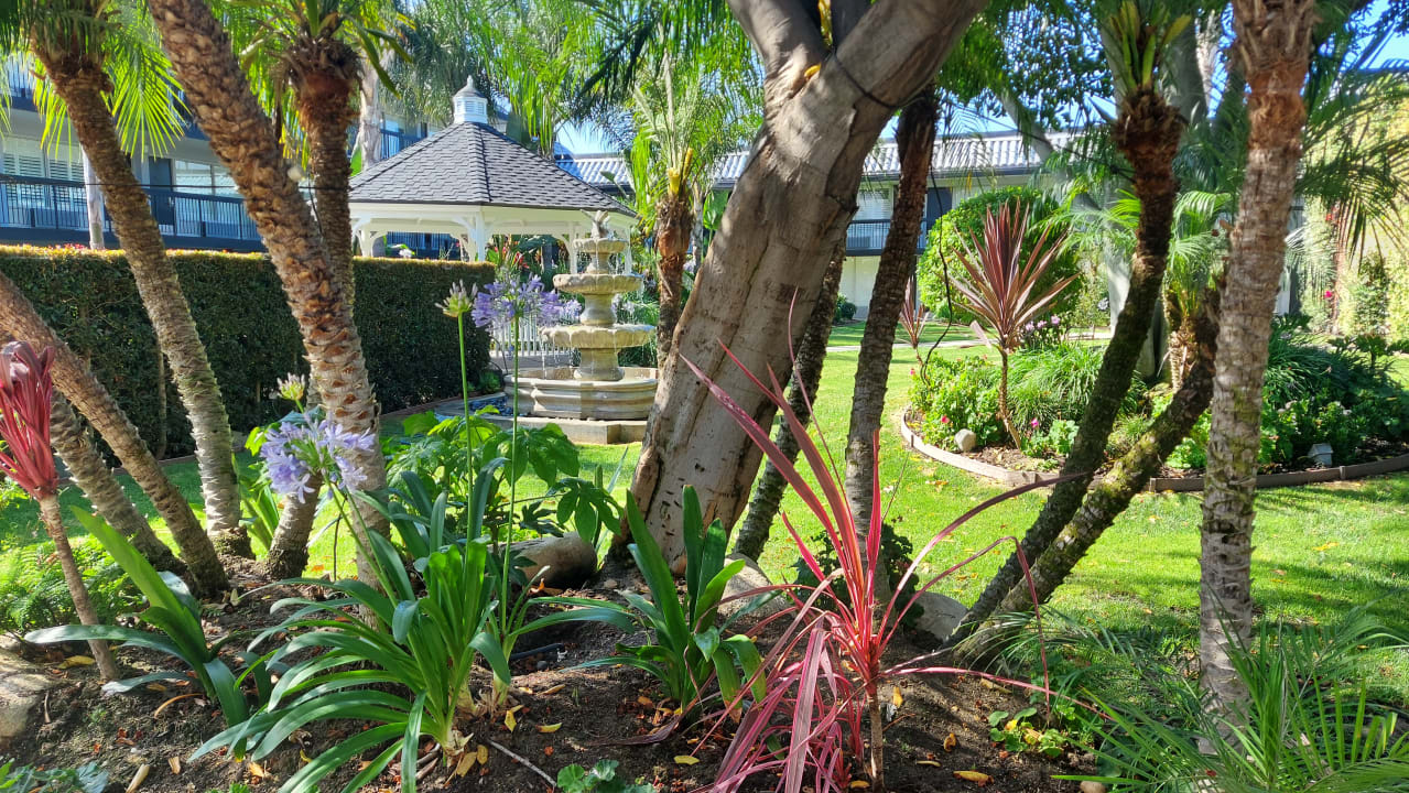 Gartenanlage Palm Garden Hotel