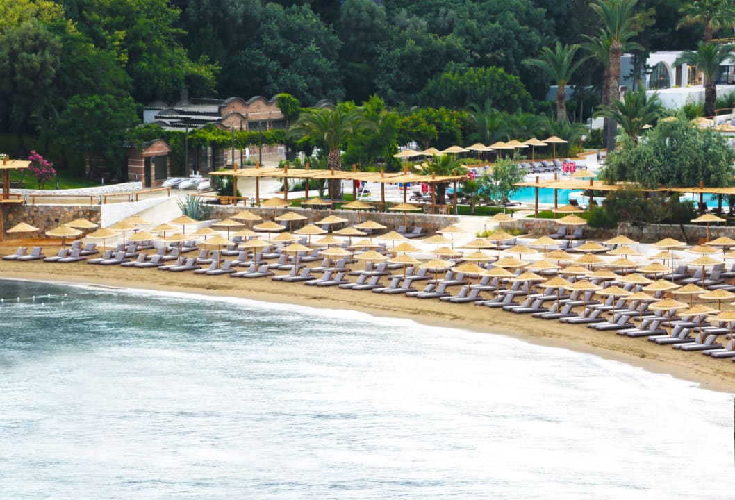 Sonstiges Club Marvy