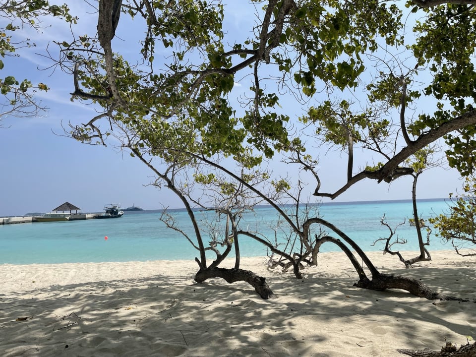 Strand Summer Island Maldives