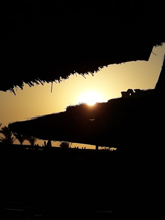 Strand Pickalbatros White Beach Resort - Hurghada