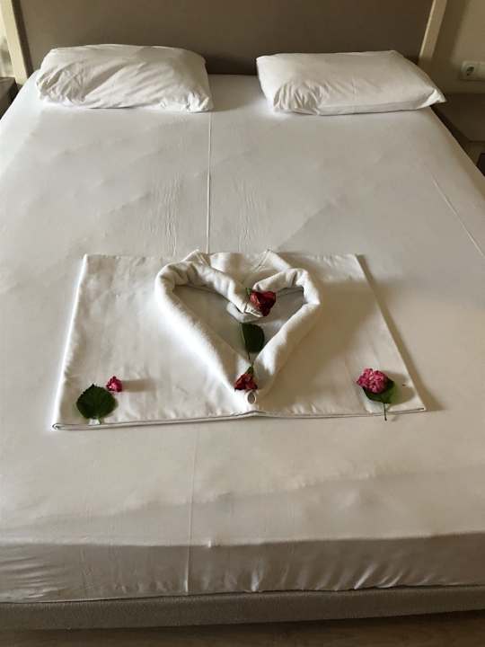 Zimmer Aydinbey Kings Palace & Spa