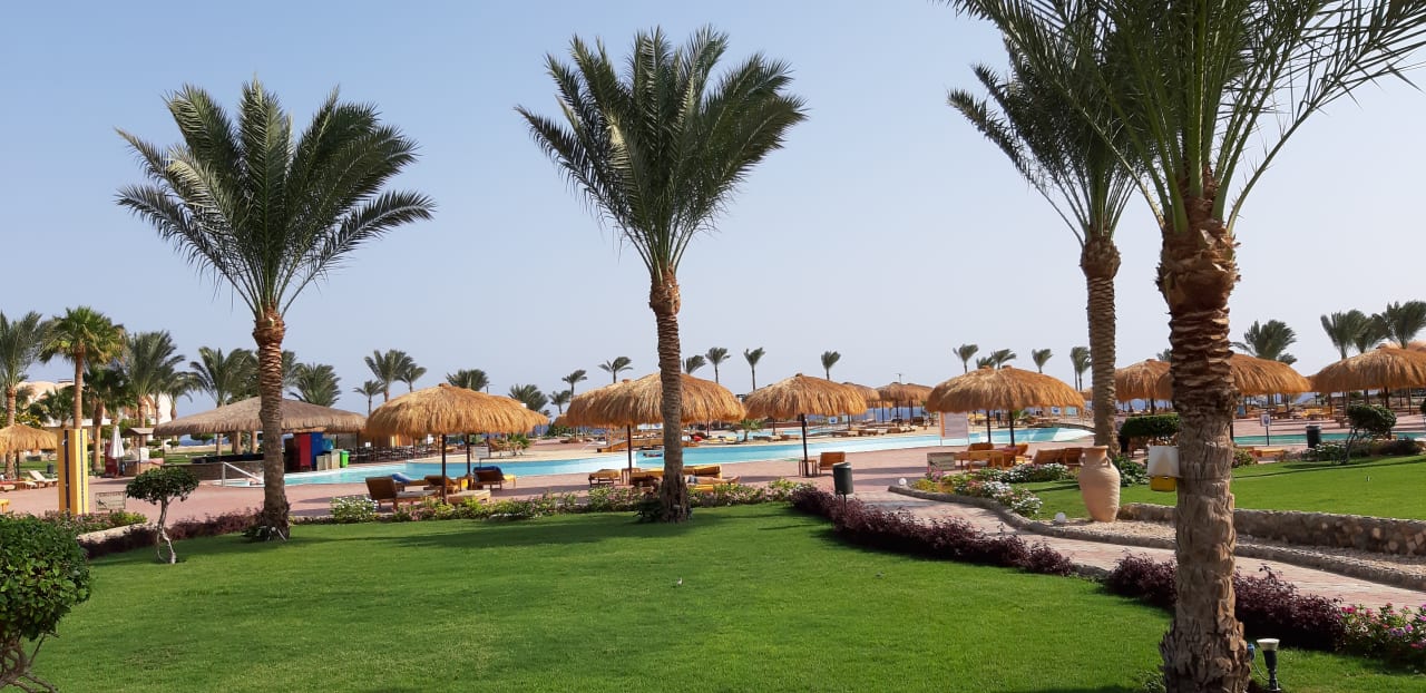 Gartenanlage Three Corners Sea Beach Resort