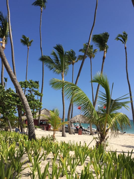 Am Hotelstrand Grand Palladium Select Bávaro Resort & Spa