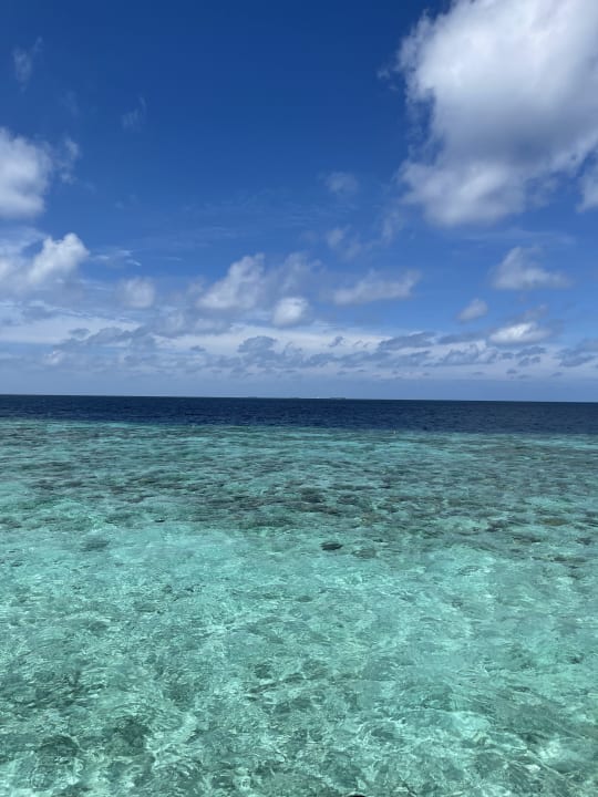 Zimmer Centara Ras Fushi Resort & Spa Maldives