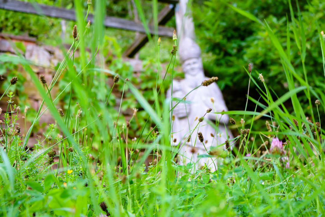 Sonstiges Hotel & Restaurant Rosenbusch