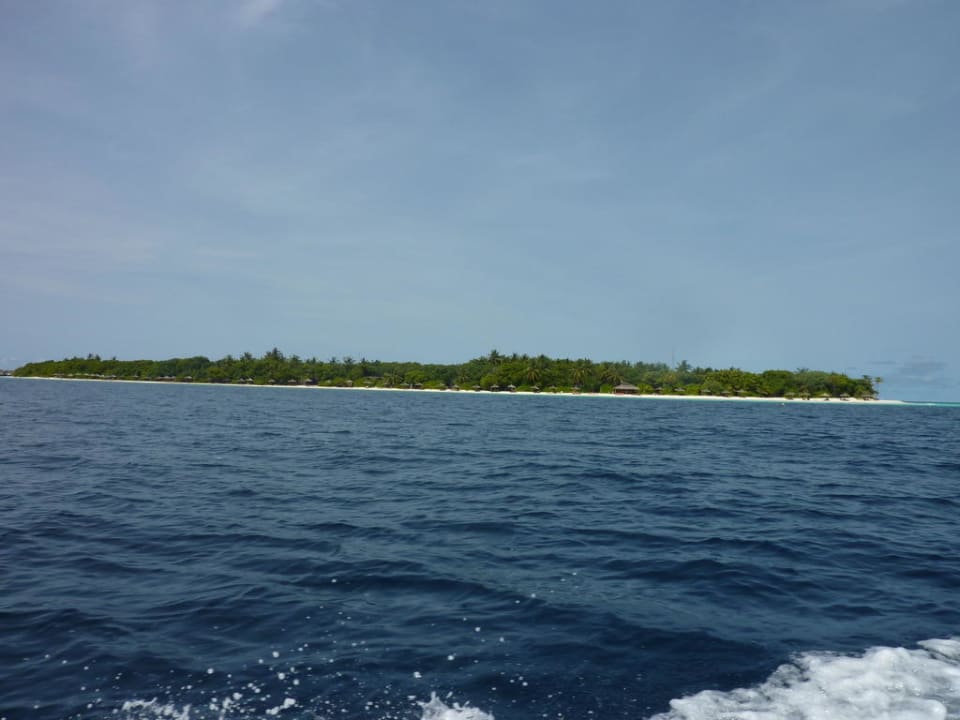 Insel vom Boot aus NH Collection Maldives Reethi Resort