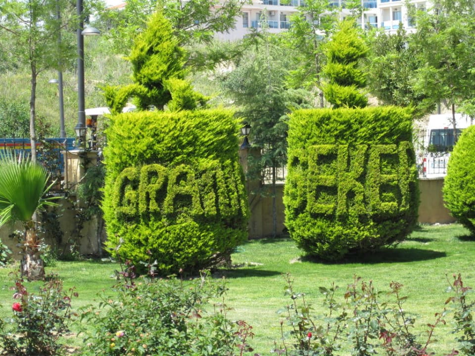Schöne Bäumchen im Garten Grand Seker Hotel