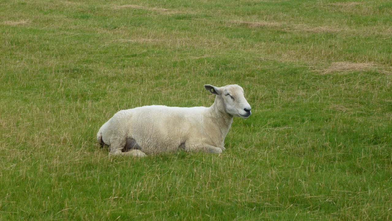 Überall Strandgut Resort
