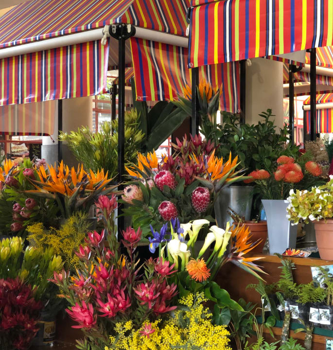 Sonstiges Sentido Galomar