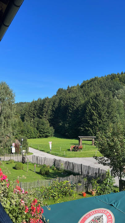Ausblick Pension Mühlwinkler Hof