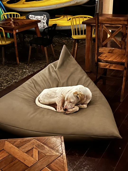 Sport & Freizeit Selina Red Frog