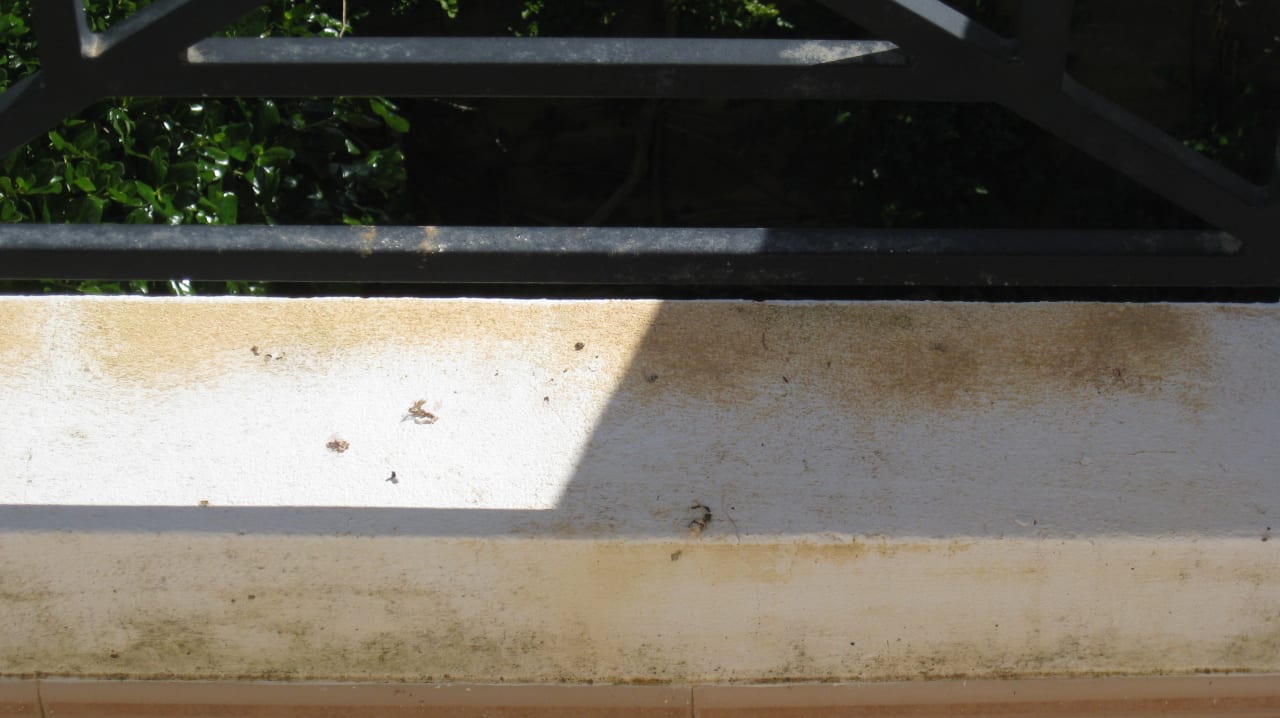 Sonstiges Hotel Luz Bay Club