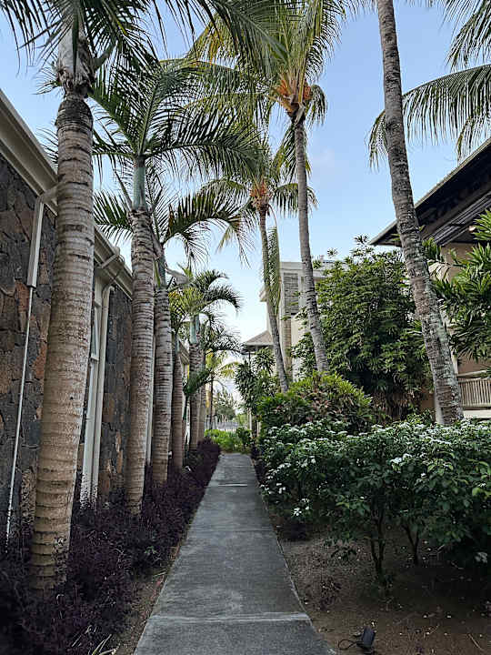 Gartenanlage Lagoon Attitude - Adults only