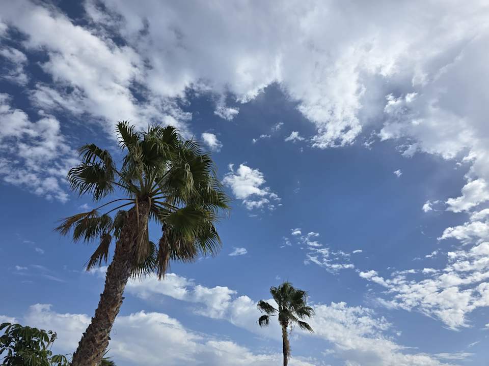 Ausblick TUI MAGIC LIFE Fuerteventura