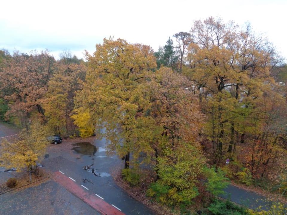 Ausblick Holiday Inn Express Frankfurt - Airport