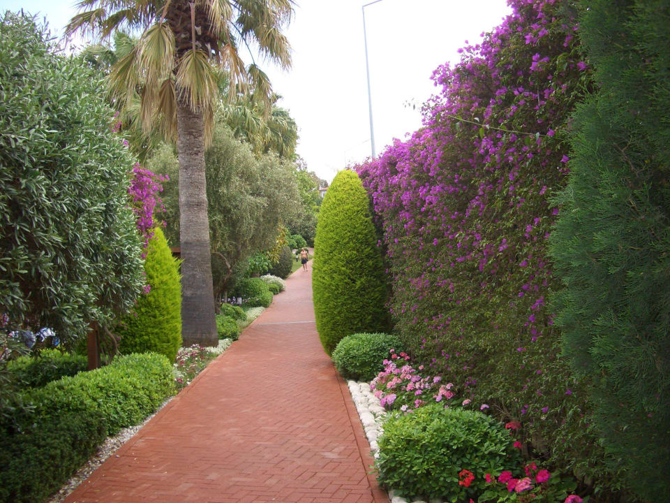 Weg zum Hotel und Strand Side Star Elegance