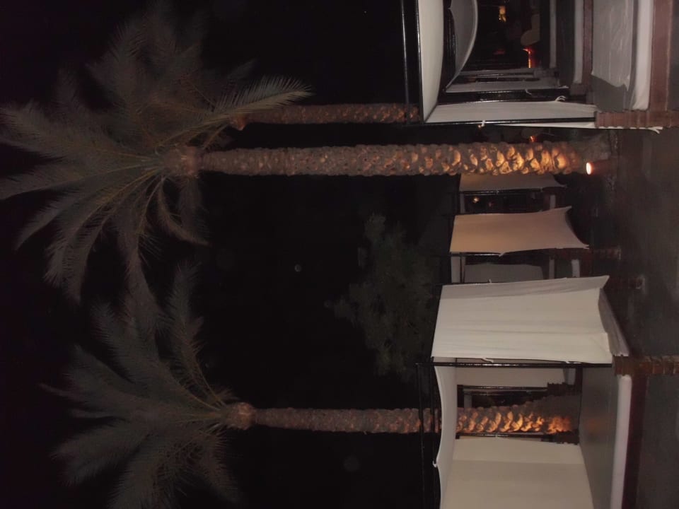 Klasse Liegen am Pool - total bequem  Ghazala Gardens