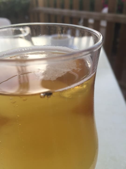 Restaurant Alcudia Garden Aparthotel