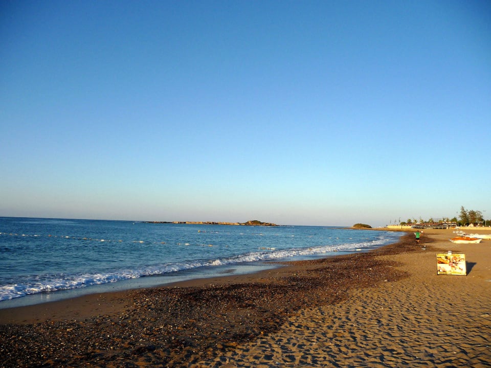 Früh Morgens Hotel Gardenia Beach