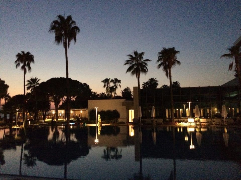 Abends. Acanthus Cennet Barut Collection