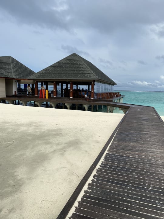 Strand Summer Island Maldives