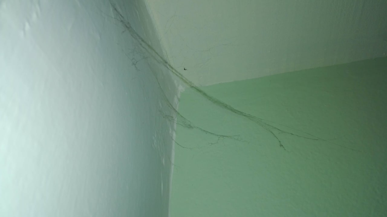 Spinnweben an mehreren Stellen  Captain's Apartments Barbati