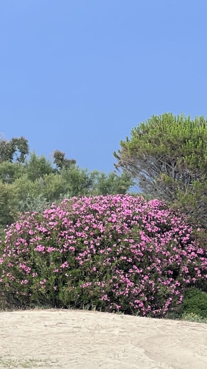 Strand TUI MAGIC LIFE Calabria