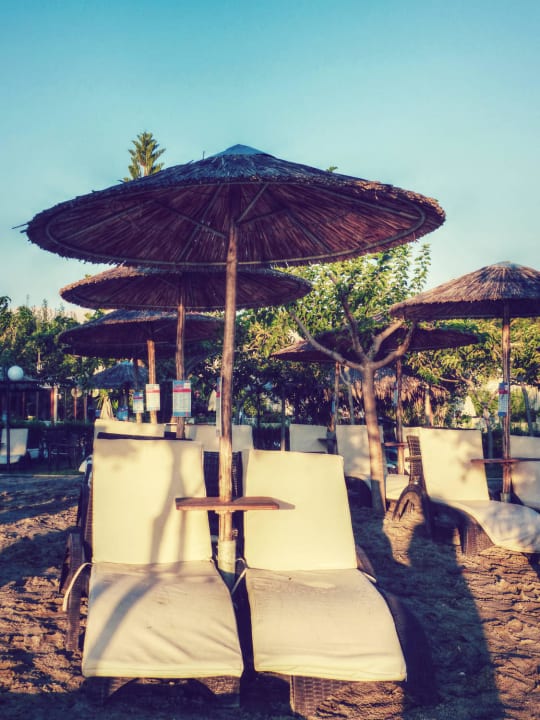 Meine Lieblingsliegen  Corissia Beach Hotel