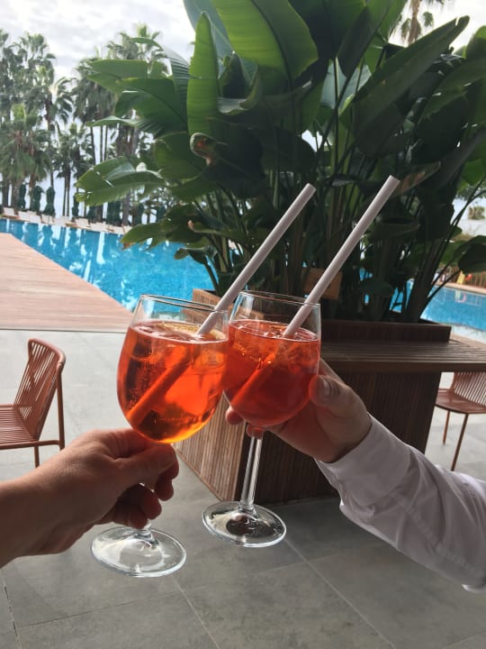 Gastro Acanthus Cennet Barut Collection