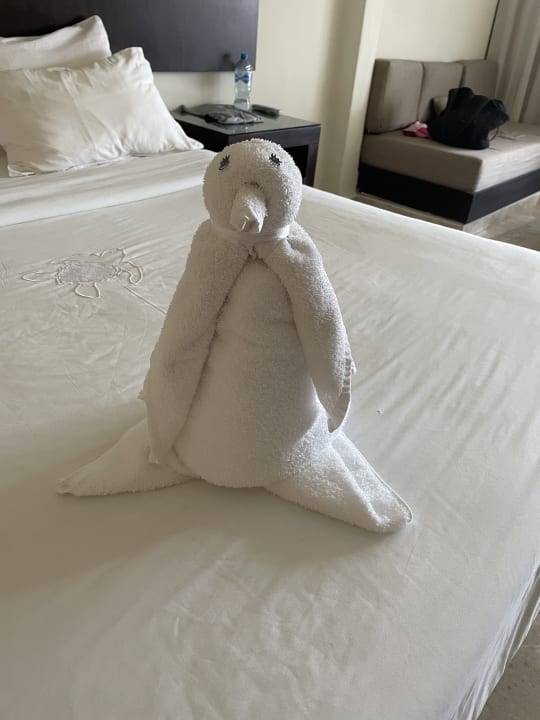 Zimmer Akumal Bay Beach & Wellness Resort