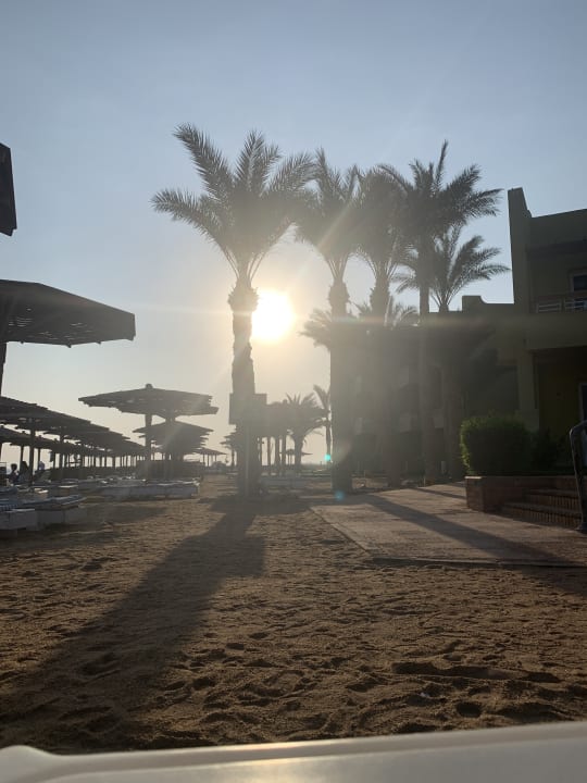 Strand Palm Beach Resort